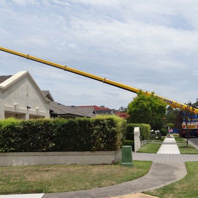 DSC02923